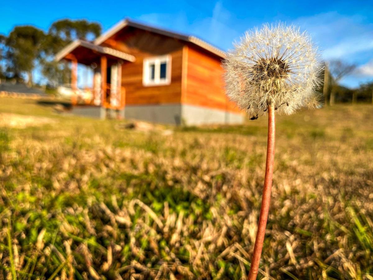 Pousada Flor Do Campestre ウルビシ エクステリア 写真