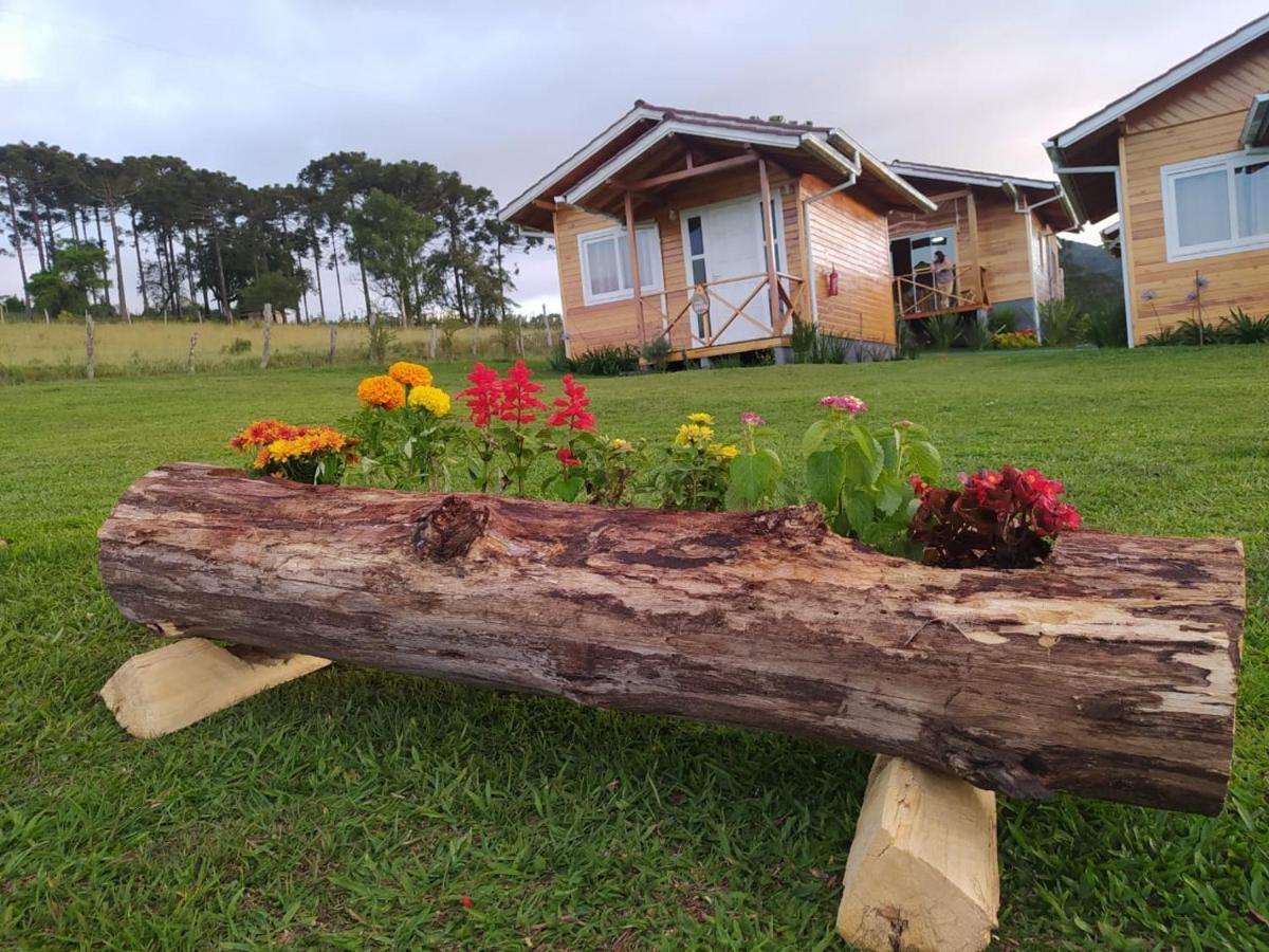 Pousada Flor Do Campestre ウルビシ エクステリア 写真