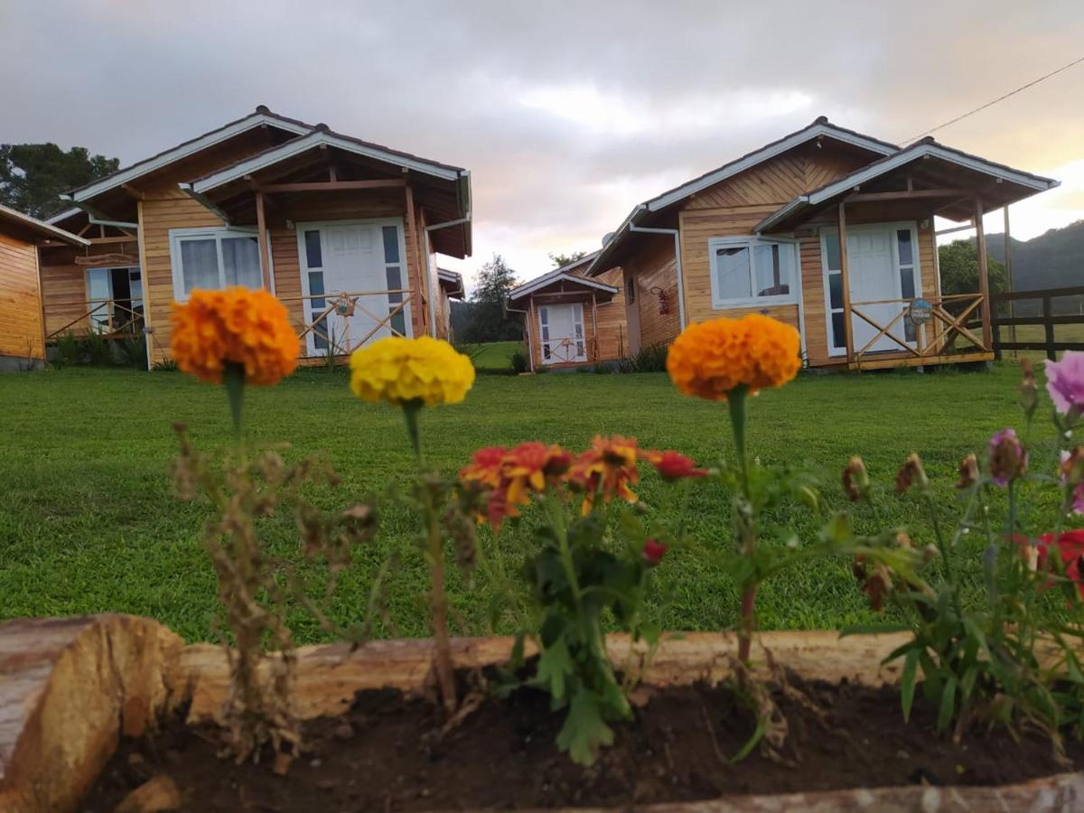 Pousada Flor Do Campestre ウルビシ エクステリア 写真