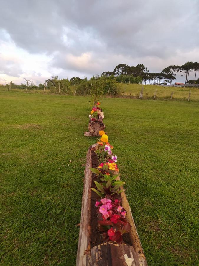 Pousada Flor Do Campestre ウルビシ エクステリア 写真